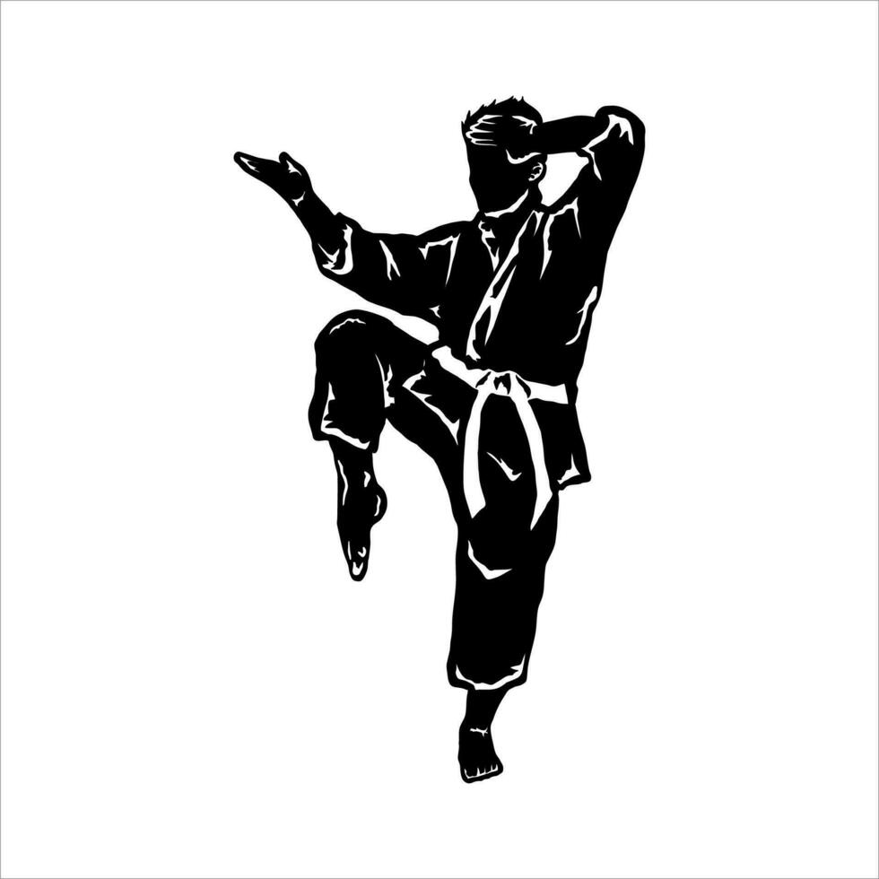 Karate practitioner posing mid-kick silhouette